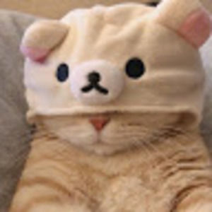 Meet your Posher, Ivory